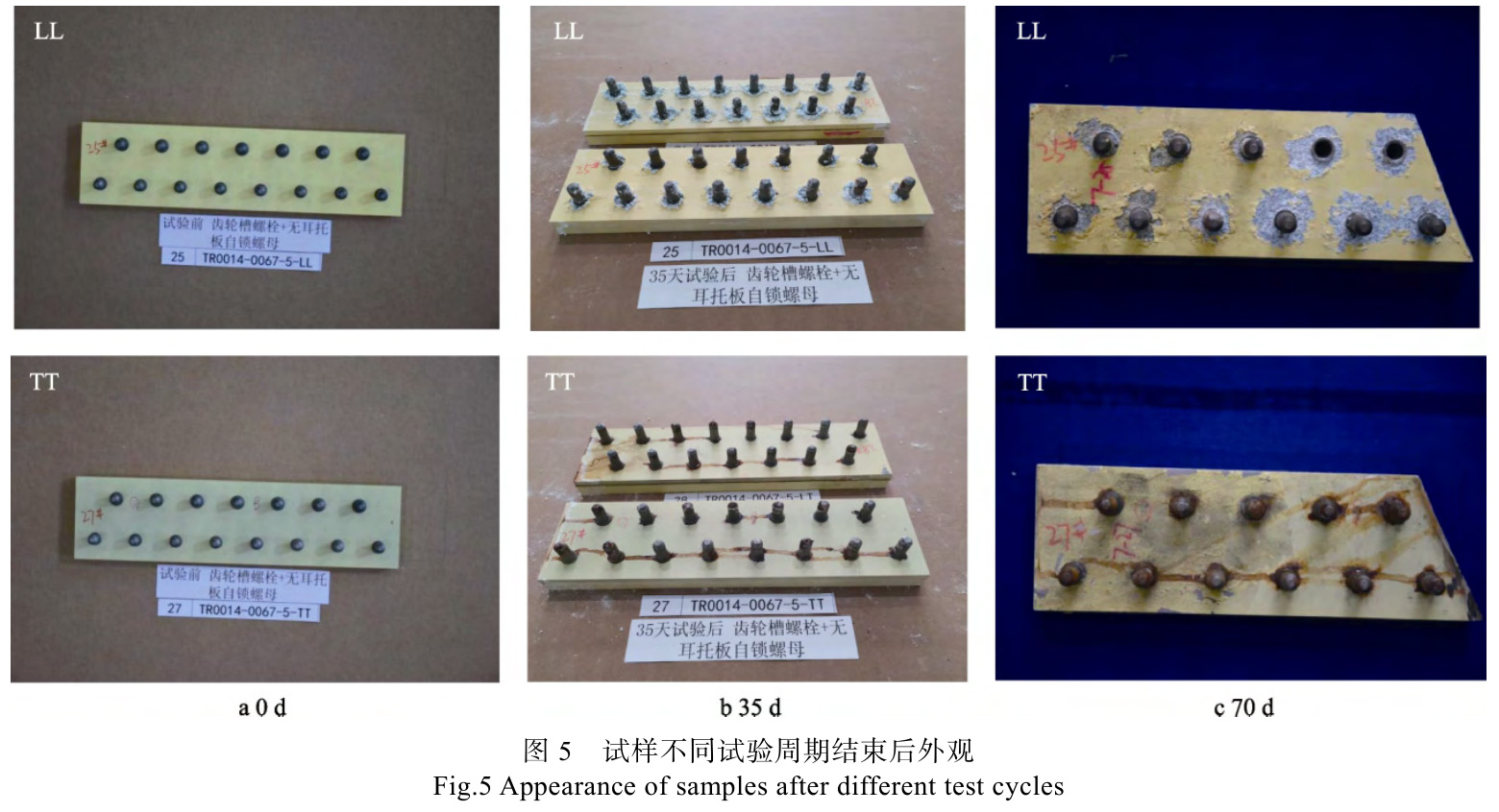 硬膜緩蝕劑對(duì)鈦合金螺絲電偶腐蝕的防護(hù)作用研究