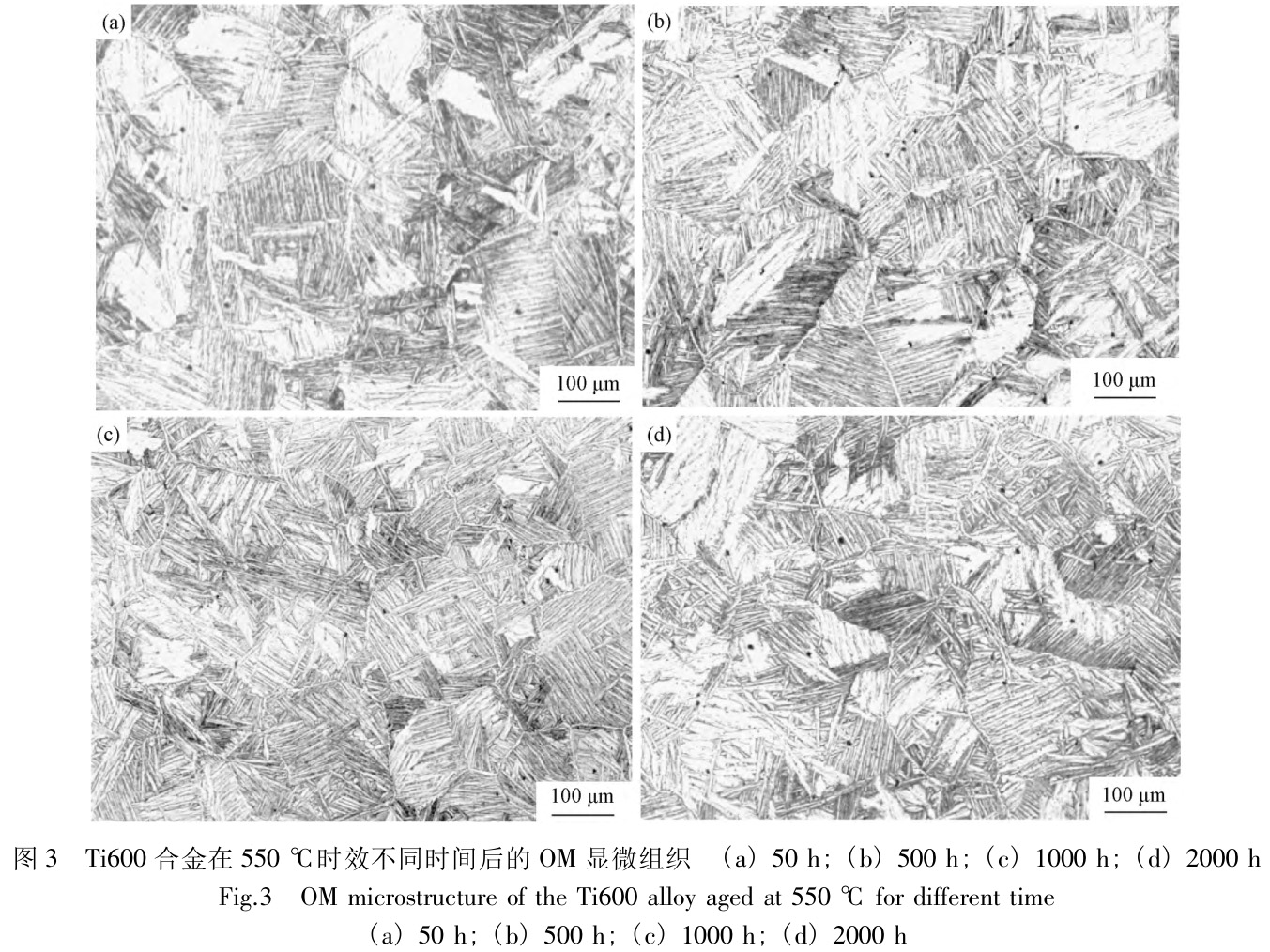 近α型高溫鈦合金長(zhǎng)期時(shí)效過(guò)程中的組織演化行為