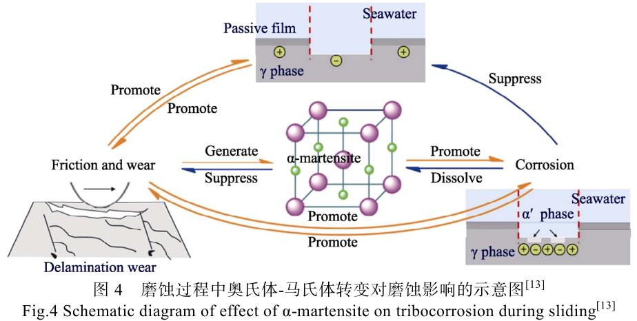 海洋環(huán)境鈦管鈦鍛件等鈦合金的應(yīng)用現(xiàn)狀及其防護(hù)技術(shù)研究